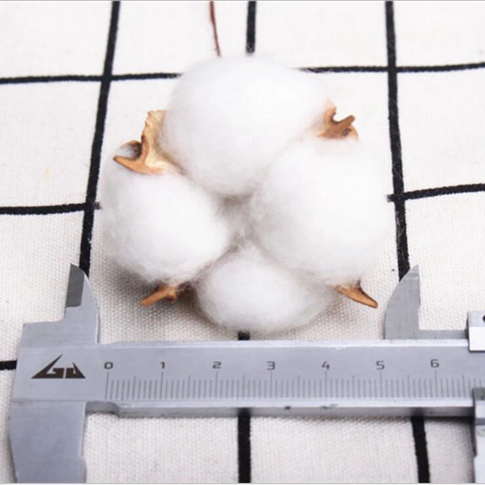 Искусственные головки капка 10 шт. натуральные сухие цветы хлопковые для свадьбы