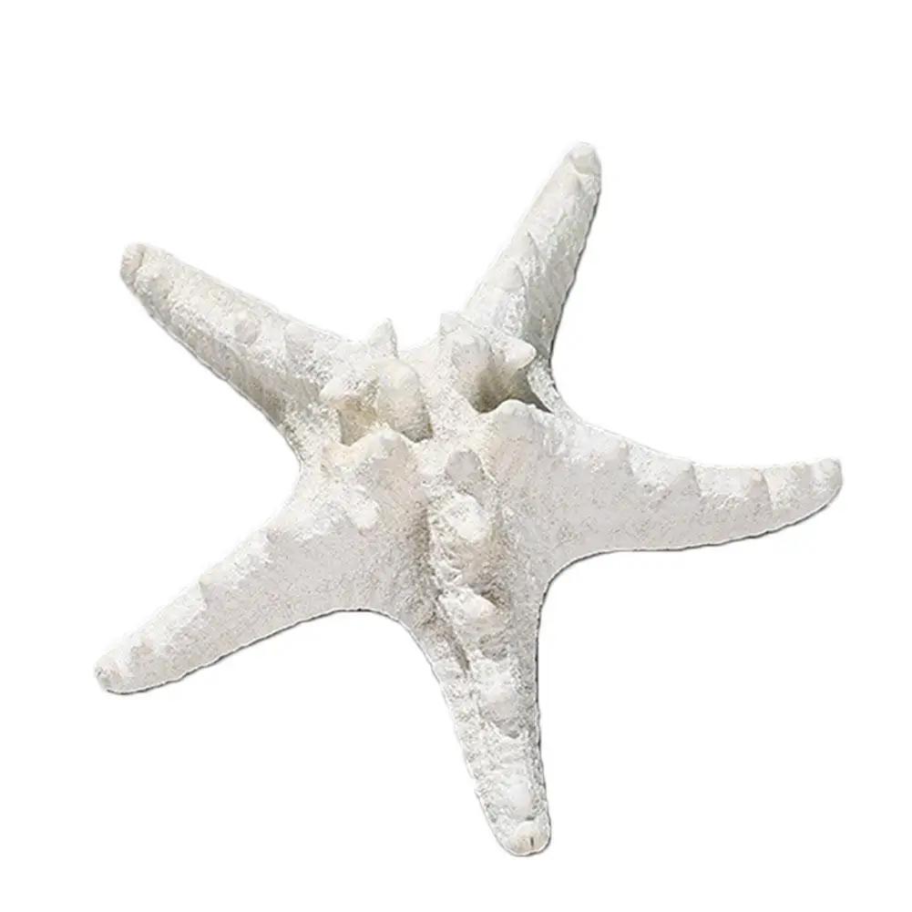 

1pc New Starfish Decoration Natural Mediterranean Sea Stars DIY Beach Cottage Kids Bedroom Living Room Decor