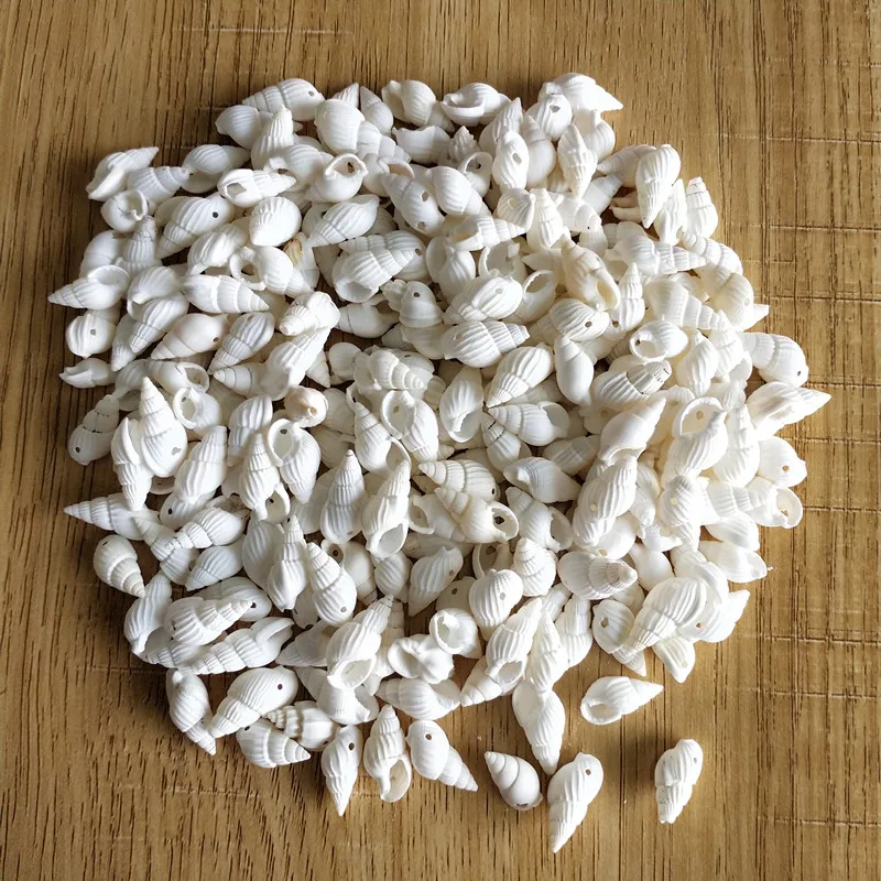 

200Pcs hole for jewelry Natural Seashell Sea Shells Beads with Hole Cowrie Beach Conch DIY Crafts white conch holes