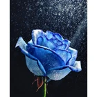 Полноразмерная Алмазная 5D картина сделай сам с голубыми розами, алмазная вышивка стразы, мозаика, домашний декор ZWQ