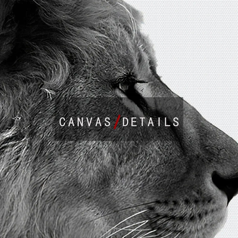 Плакат со львом Яком холст живопись животные фотография настенные