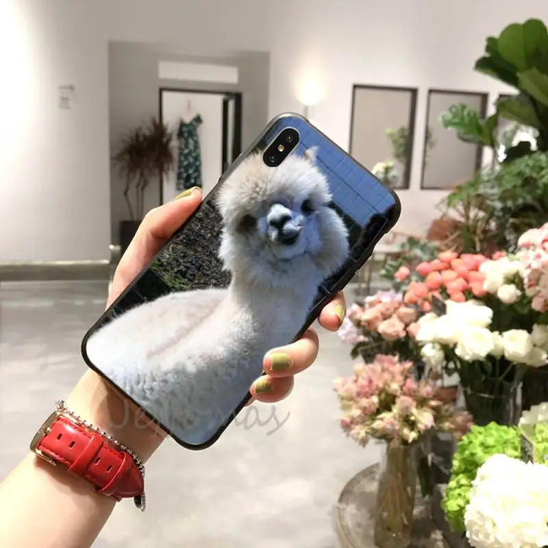 

Lama Llama Alpacas Animal Phone Case for iPhone 11 12 mini pro XS MAX 8 7 6 6S Plus X 5S SE 2020 XR