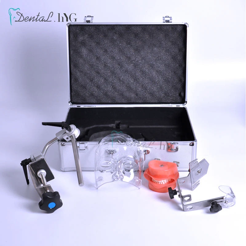 

Dental Simulator Manikin Phantom Head Model With New Style Bench Mount Dental Models For Dentist Teaching 360-degree adjustment
