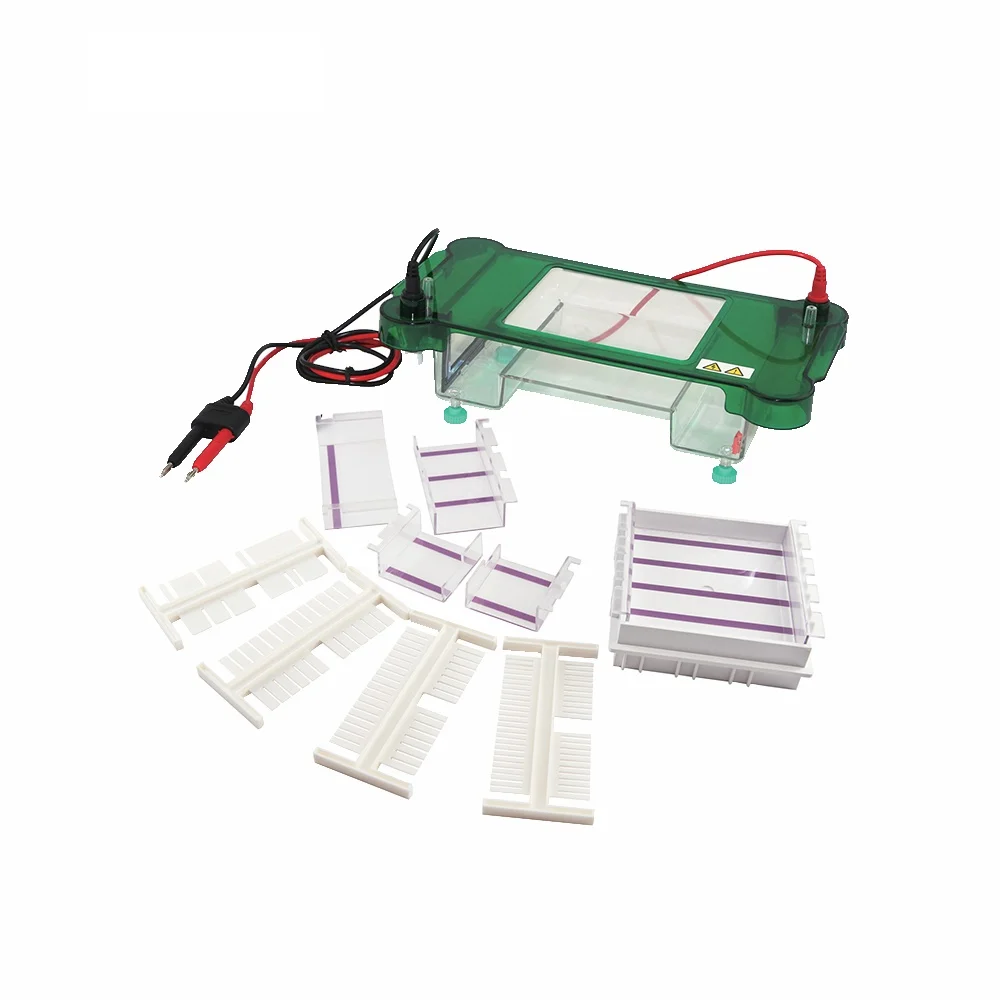 

DW-SPCT Horizontal Gel Electrophoresis Machine