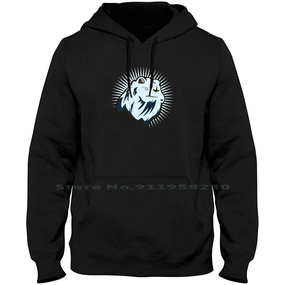 

Драматический чипмунк Мужская толстовка свитер 6XL большого размера хлопковый чипмунк Мультяшные геймеры фильмы драматическая игра чип Ram Hip Chi Ra