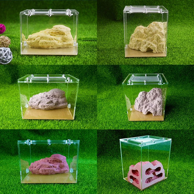 Маленькие муравьиные фермы Муравьиное гнездо для молодых колоний|Товары