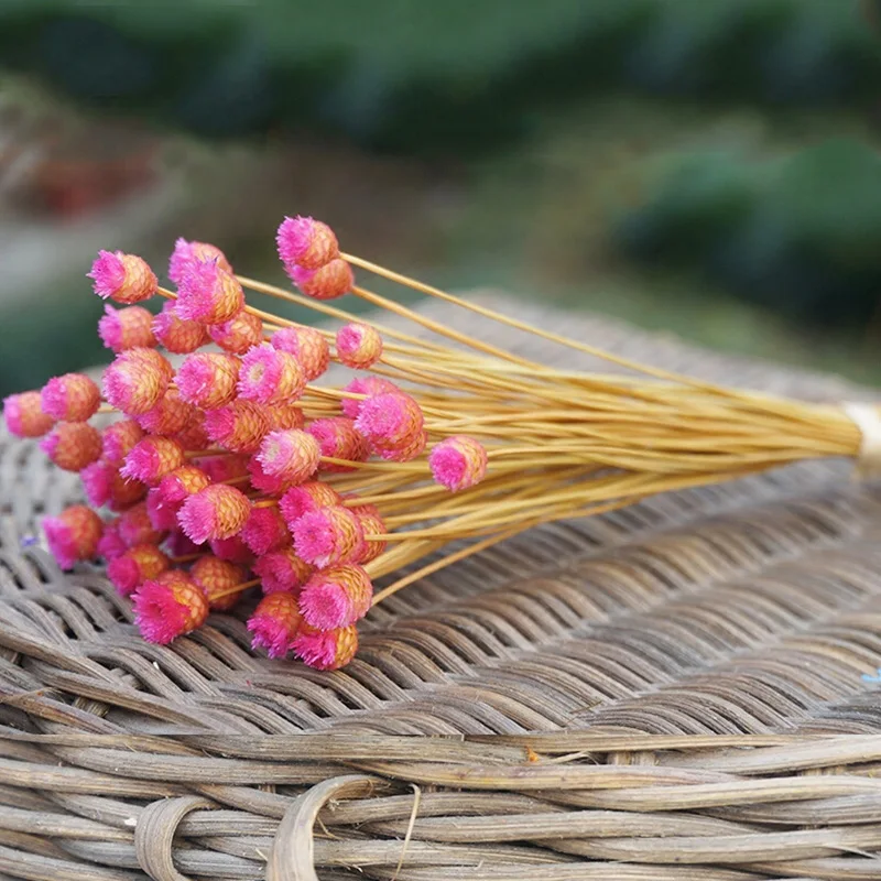 Flowers 50 Stems Dried for Arrangements Bundle Home Decor Photo Props Handmade Air-drying HG99 | Дом и сад
