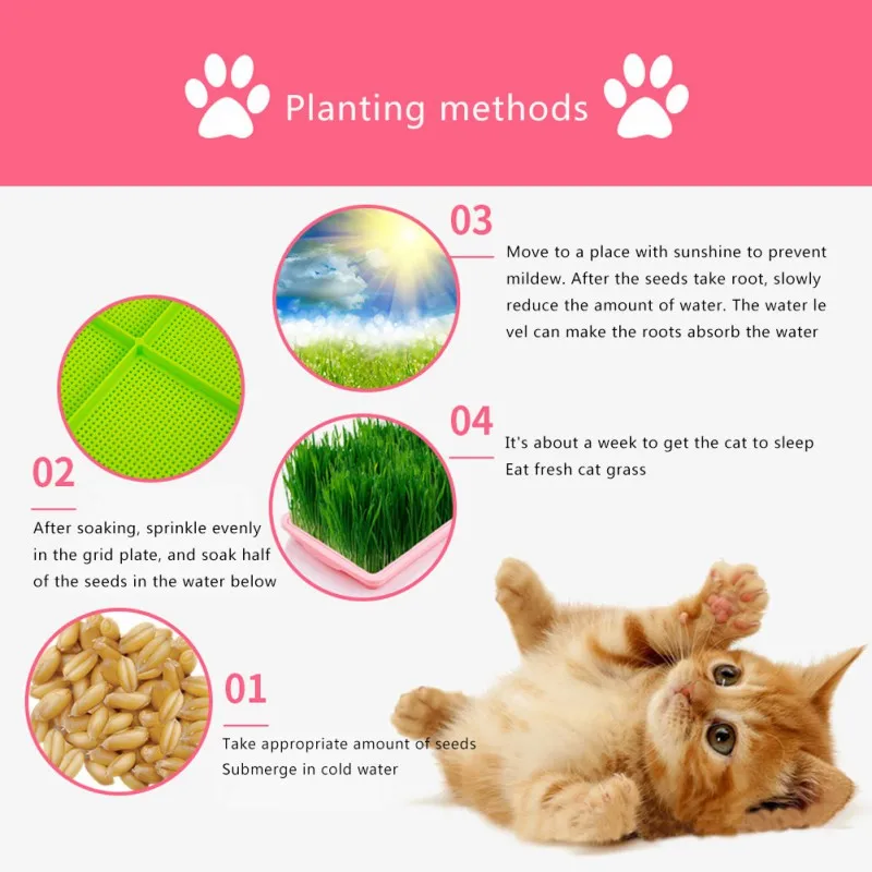 

Pet Cat Cat Mint Hydroponic Cat Grass Planting Box Blue