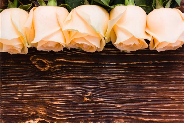 

SHENGYONGBAO Vinyl Custom Christmas Photography Backdrops Prop flower and Wood Planks Photo Studio Background V191102-71