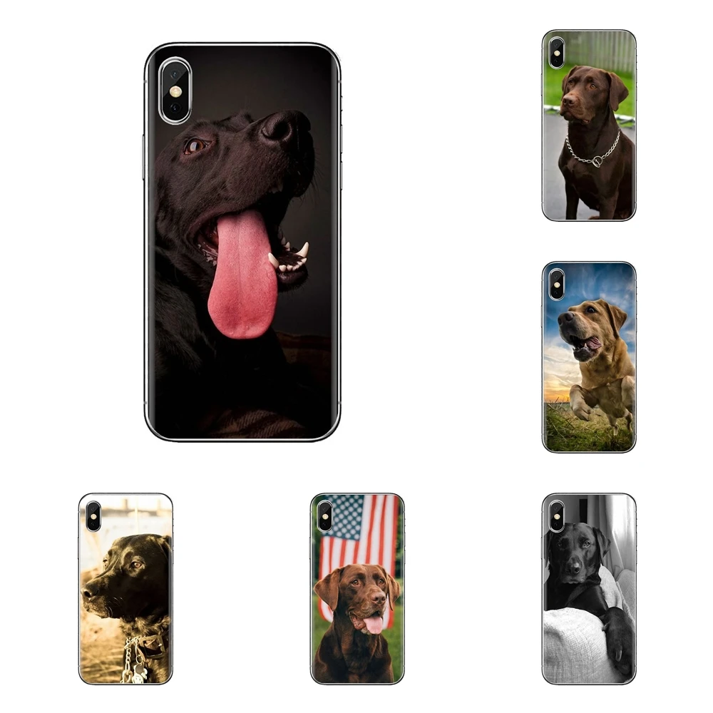 Transparent Soft Shell Covers For Xiaomi Redmi 4A S2 Note 3 3S 4 4X 5 Plus 6 7 6A Pro Pocophone F1 The Labrador Retriever dogs |