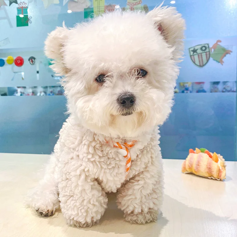 

Fleece Chihuahua Clothes Super Warm Dog Sweatshirt Winter Puppy Coat Pet Clothing for Small Mediun Dogs Yorkies French Bulldog