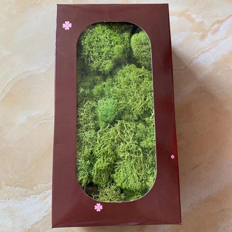 

Green Natural Preserved Moss Lasting Preserved Norwegian Reindeer Moss Flower Real Plant for Home Garden Wedding DIY Decoration
