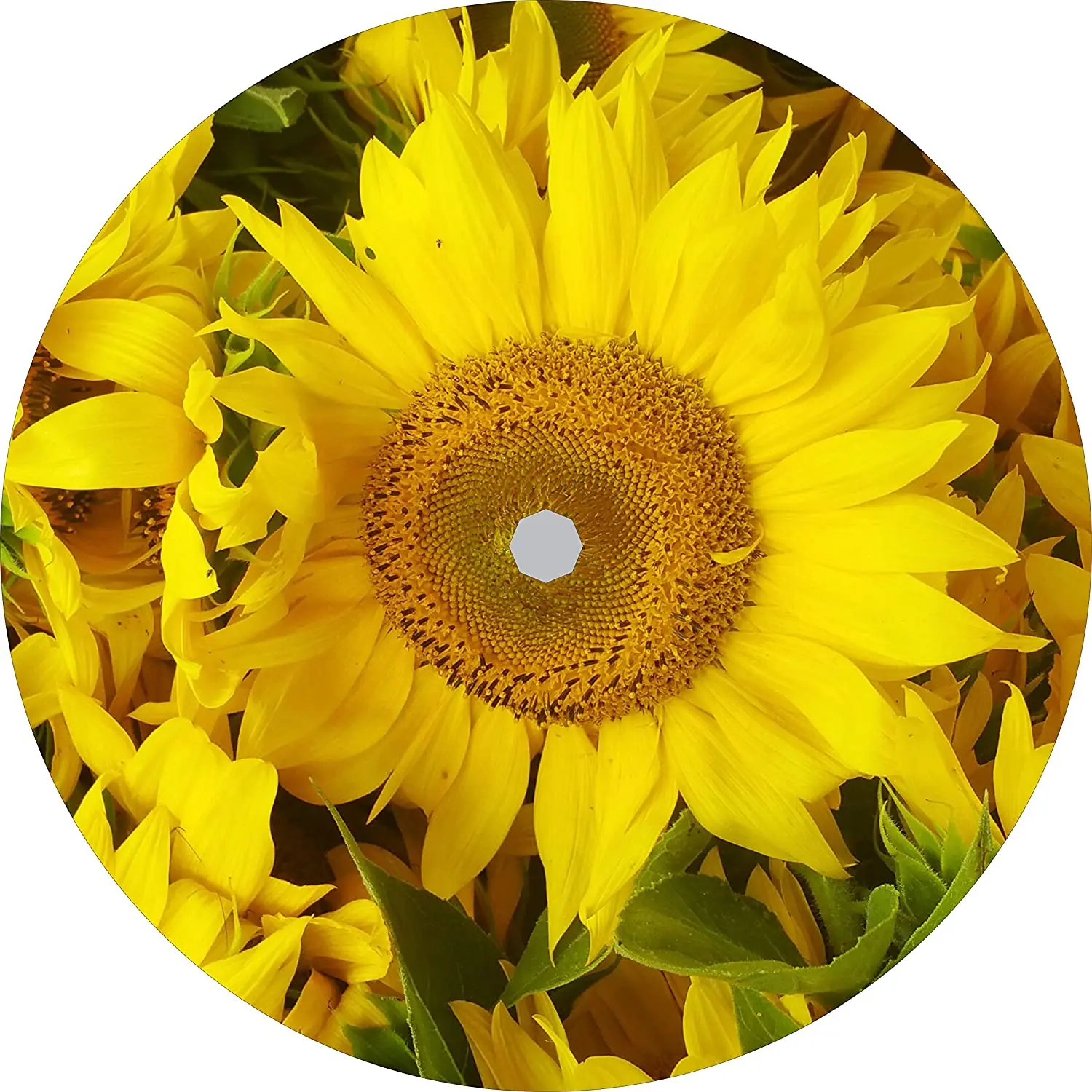 

Крышка шины запасная крышка центральной подсолнухов (размер на заказ для любой марки/модели