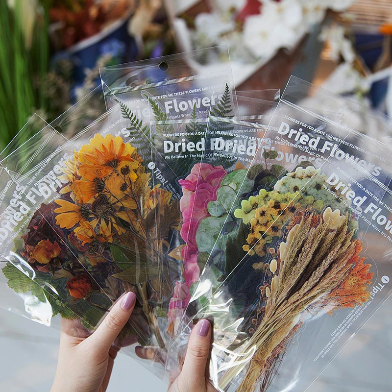 

6pcs/pack Retro Plant Dried Flowers Bullet Journal Pet Deco Diary Stickers Scrapbooking Planner Decorative Stationery Stickers