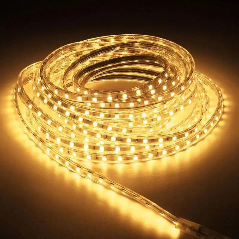 

220V LED Strip Light 120LEDs/m Flexible High Brightness LED Light with EU Plug