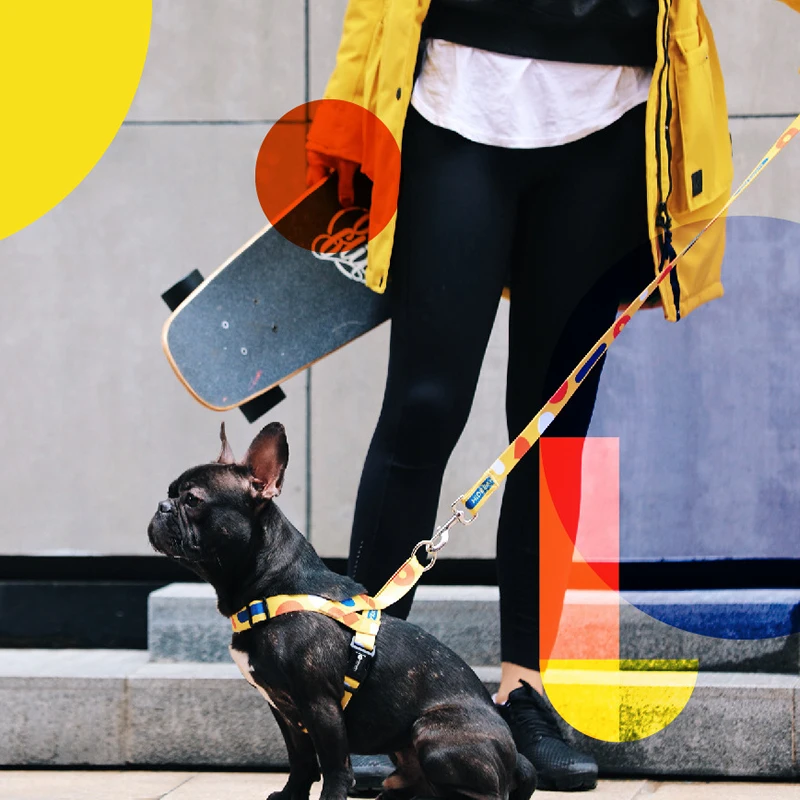 

2021 Special Offer Puppy Harness Set Dogs Pets Accessories Fashion Pet Quick Wearing Chest And Back Traction Dog Leash Collar