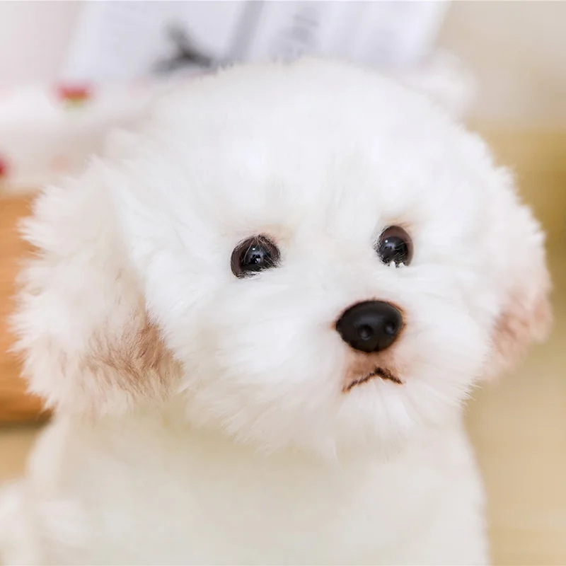 Бишон фриз щенок чучело собака имитация домашних животных кукла для собаки