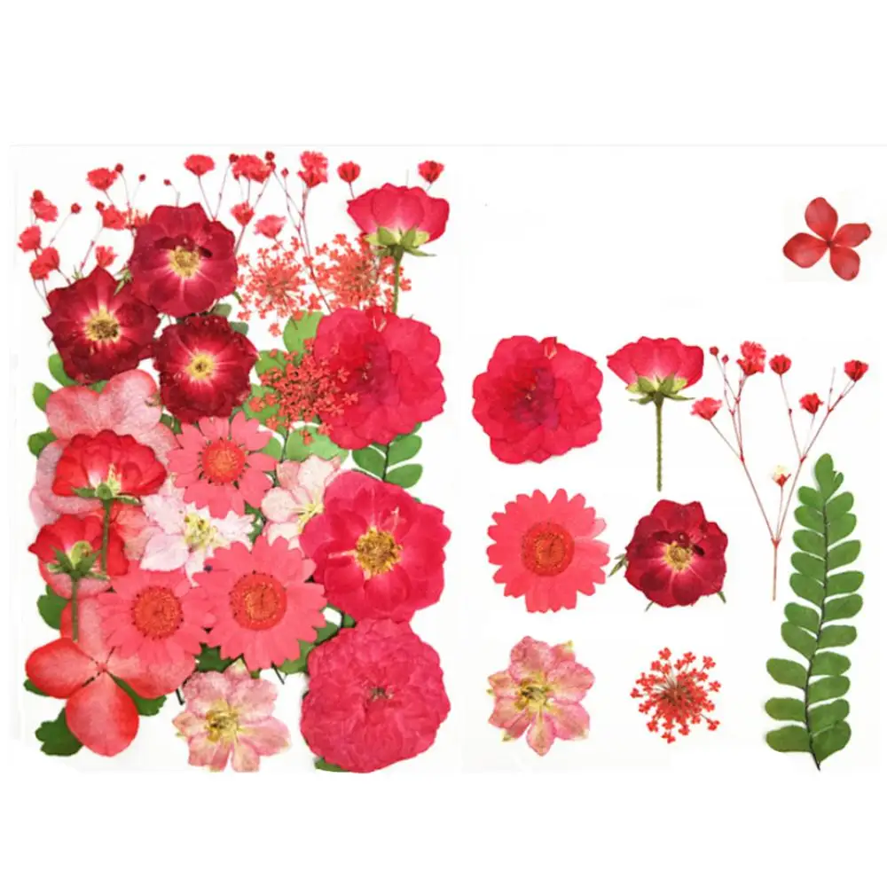 Искусственные цветы натуральные сухие консервированные растения для