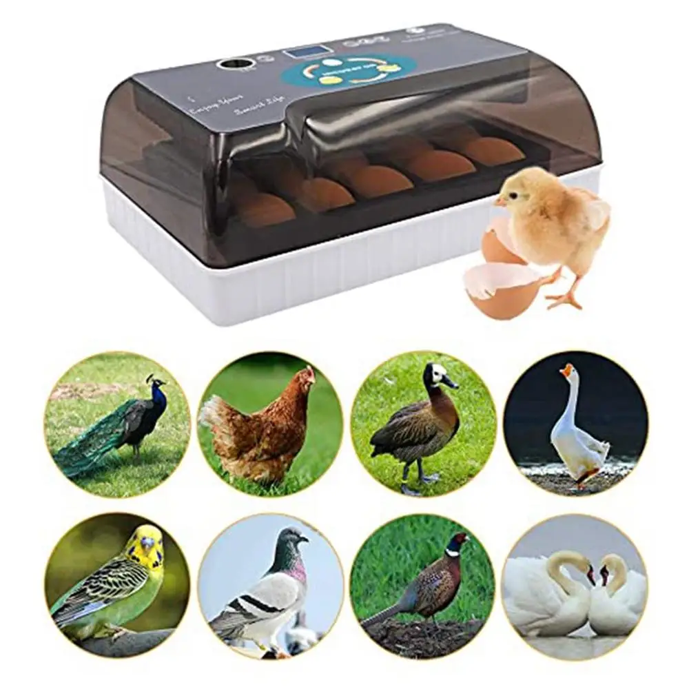 

Automatic Digital 12 Eggs Incubator Hatcher Large Capacity Practical Incubators For Chicken Poultry Quail Eggs Home Use