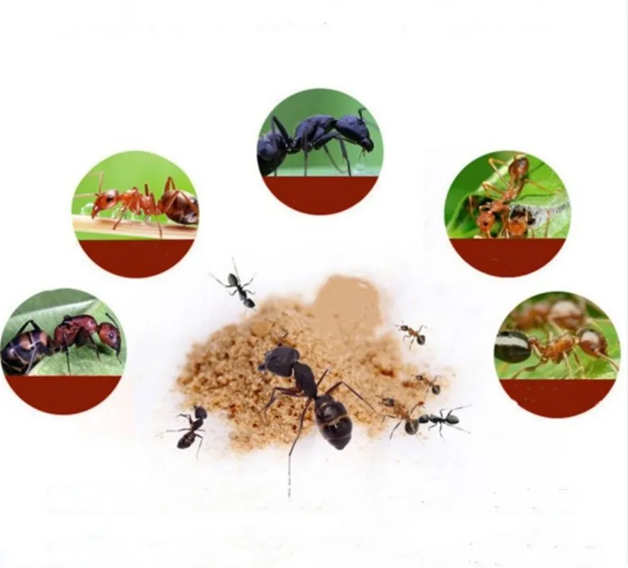 1 шт. приманка для муравьев инсектицида пестицида протеиновый порошок убийца