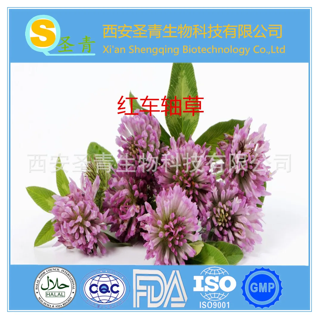 CN Health Red Clover Flavone 10% 200 g Extract | Красота и здоровье