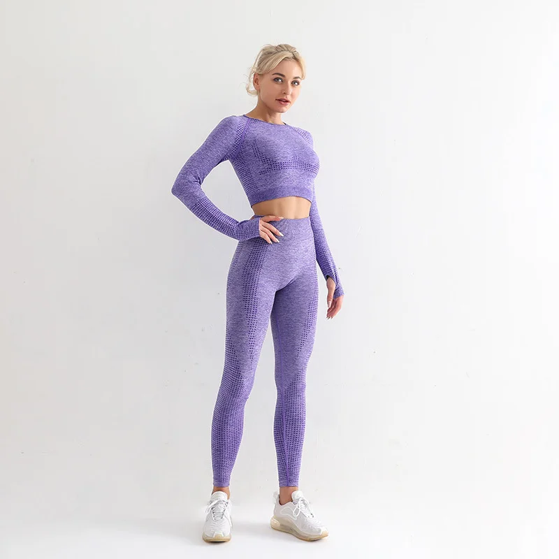 

WL2021 New Seamless Yoga Clothing Suit Women's Small Yoga Tops High Waist Hip-lifting Sports Tights Women's Tracksuit