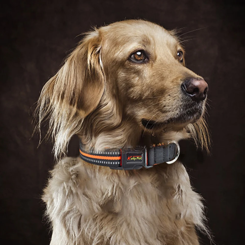 S/M/L Светоотражающий ошейник для собак и кошек d образное кольцо анти грязный