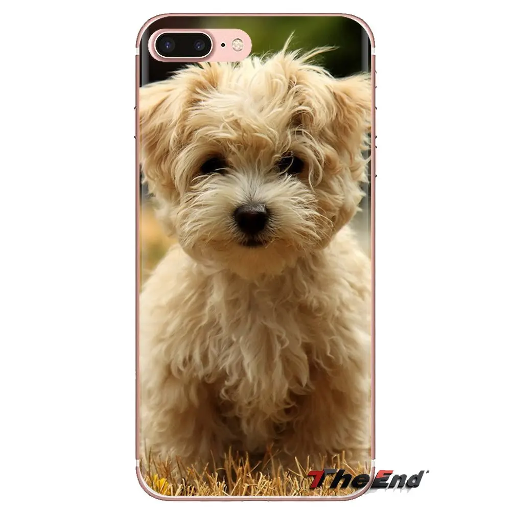 Силиконовые чехлы для телефона с надписью &quotЯ люблю мою Йоркширский терьер