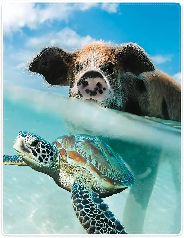 

Одеяло плюшевое диванное покрывало для кровати с животными и черепашками