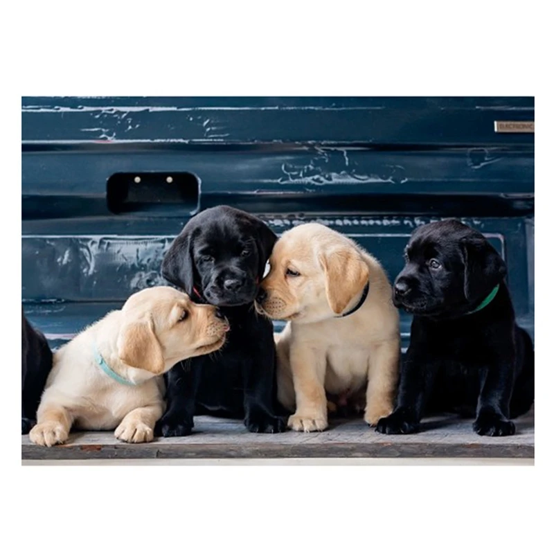 

HOT SALE DIY Diamond Painting Dogs Rhinestone Full Circle Diamond Wall Painting Bedroom Decoration