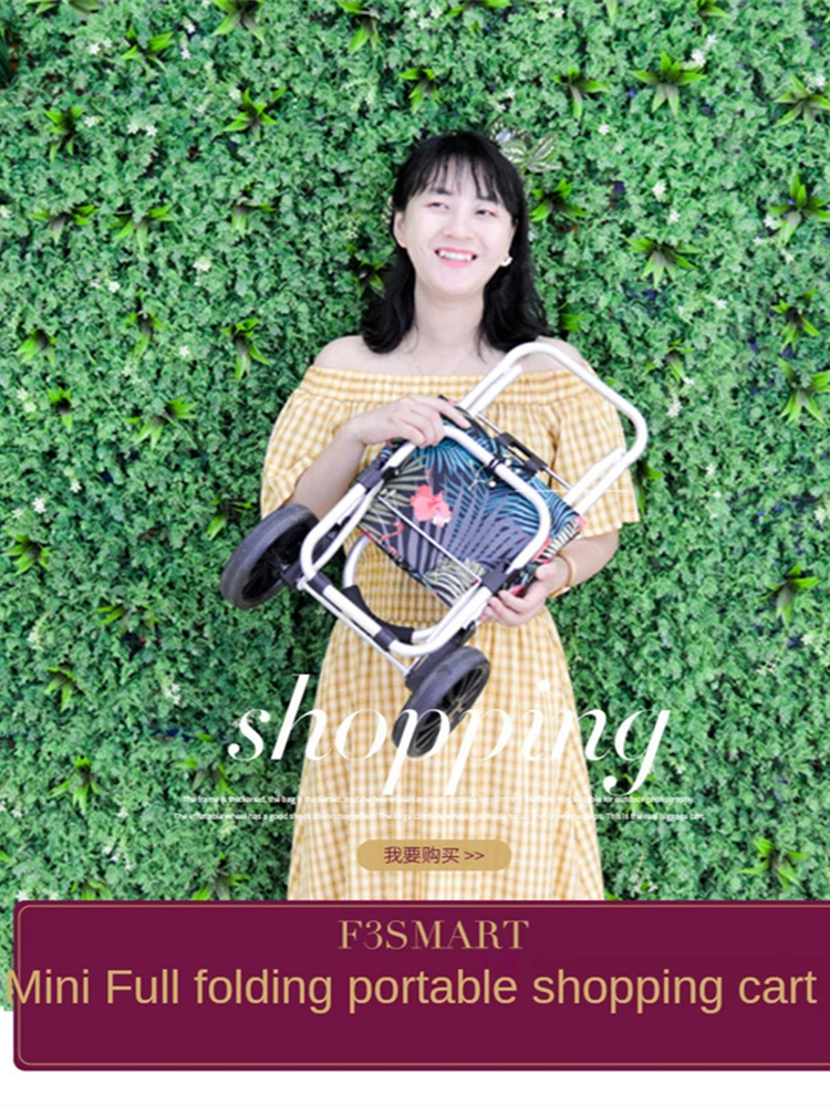 

Folding Shopping Cart Portable Trolley Dolly Grocery Foldable Cart Two Wheels