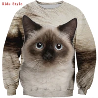 birman cat 3d printed hoodies pullover boy for girl long sleeve shirts kids funny animal sweatshirt