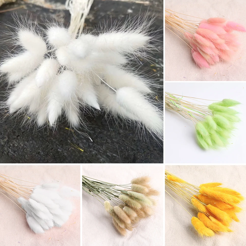30pcs Rabbit Tail Grass Bouquet Eco Friendly Wedding Dried Flower Florist Photo Props Lagurus Ovatus Natural Gift Home Decor