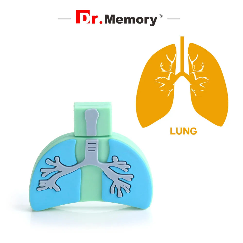 Cartoon Lung креативный USB флеш-накопитель 2,0 ручка-накопитель SD U дисковая карта новая 4 ГБ 8 ГБ 16 ГБ 32 ГБ 64 Гб 128 Гб флешки, USB флеш-карта