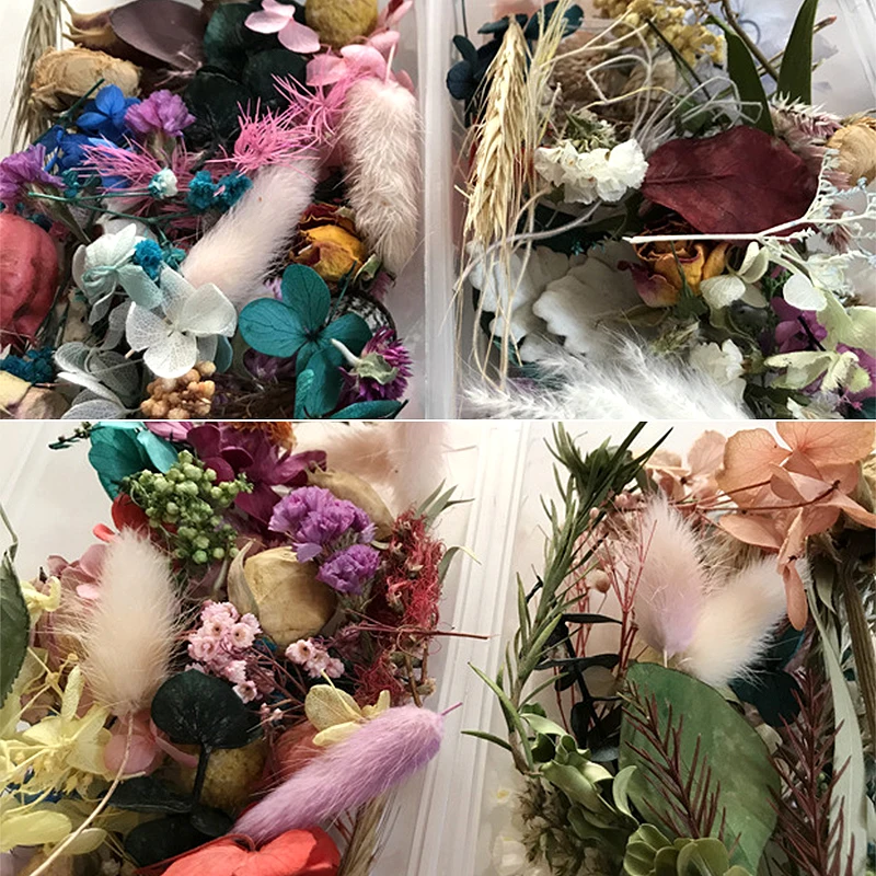 1 коробка красочные настоящие сухие цветы завод солнечной энергии для