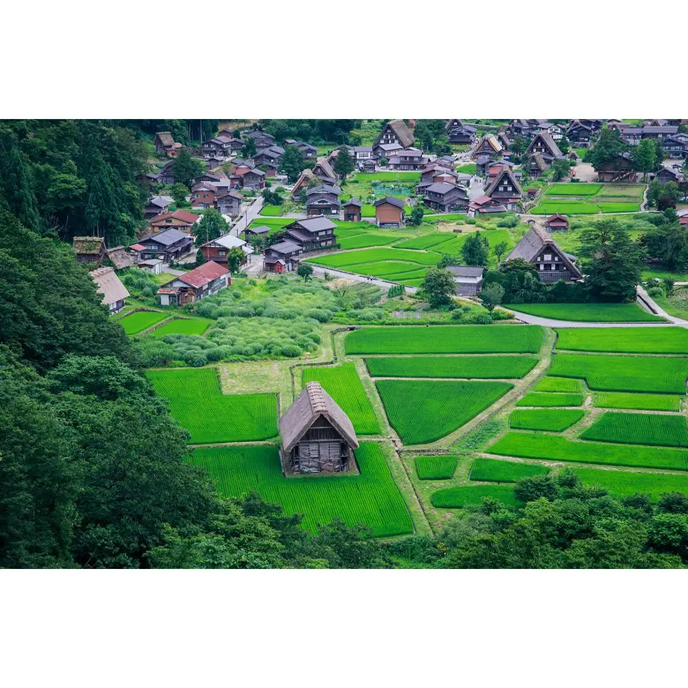 

SHENGYONGBAO Vinyl Custom Photography Backdrops scenery Theme Photography Background 200309RD-01