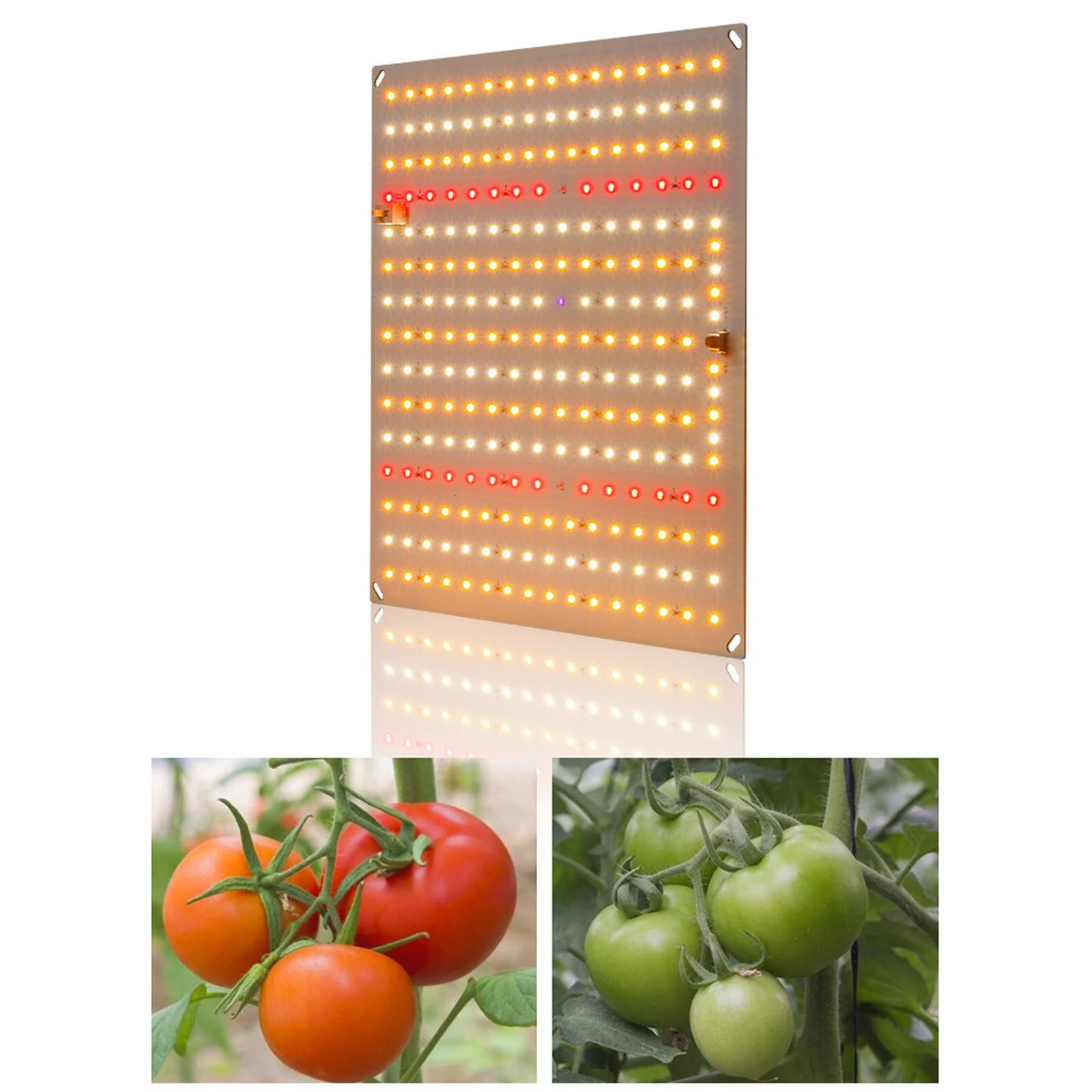 

600W 801WLEDLed Grow Light Grow Light Board Full Spectrum Phyto Lamp for Indoor Plants Veg Flower Seeds Hydroponics System