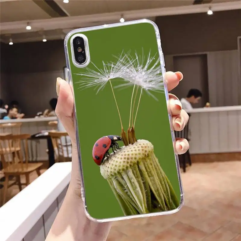 

four leaf ladybug daisy Phone Case Transparent soft For iphone 5 5s 5c se 6 6s 7 8 11 12 plus mini x xs xr pro max