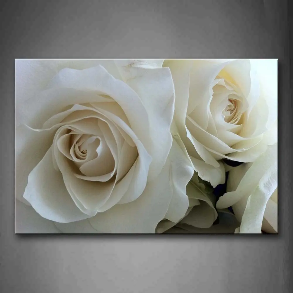 

First Wall Art Huge Roses in Pure White Wall Art Painting Pictures Print On Canvas Flower The Picture for Home Modern