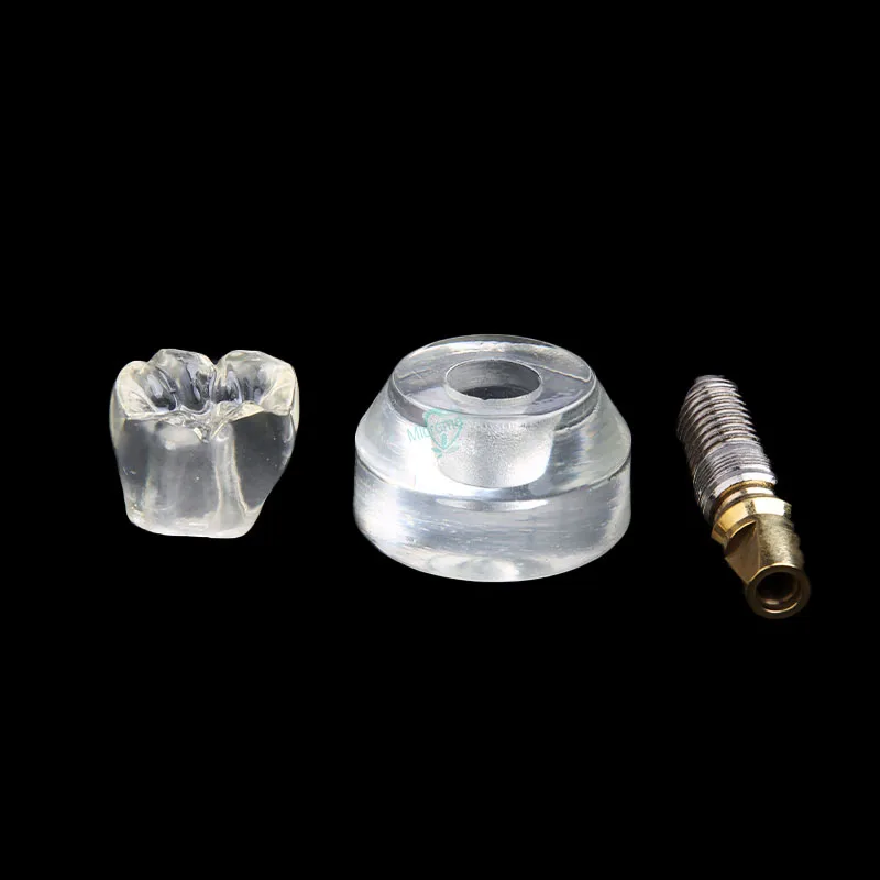 Новая модель зубных имплантатов Arcylic коронок Обучающие модели|Стоматологическая