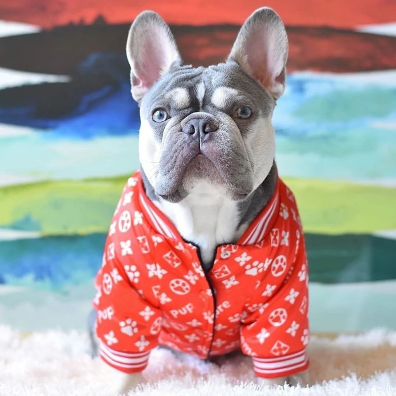 Одежда для собак теплая зимняя одежда домашних животных куртки щенок маленьких и