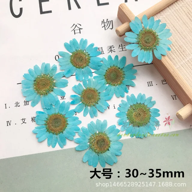 12 шт окрашенные белого цвета с украшением в виде кристаллов и принтом хризантем