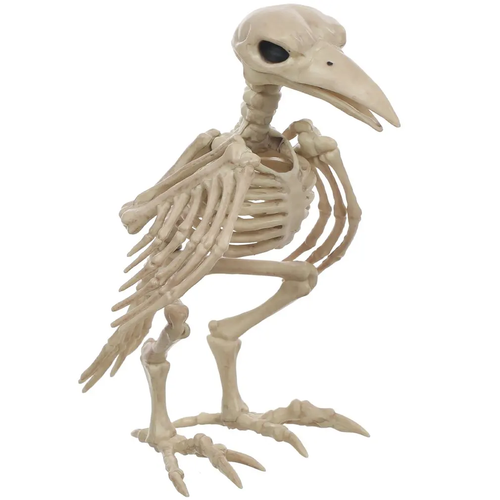 

Crow Skeleton Halloween Decorations 18119 Crow Skeleton For Bar Film Portable Fine Workmanship Good Appearance