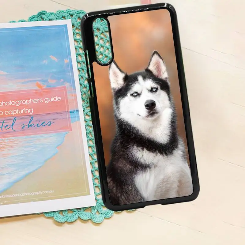 

husky dog animal universal Phone Case PC for iPhone 11 12 pro XS MAX 8 7 6 6S Plus X 5S SE 2020 XR
