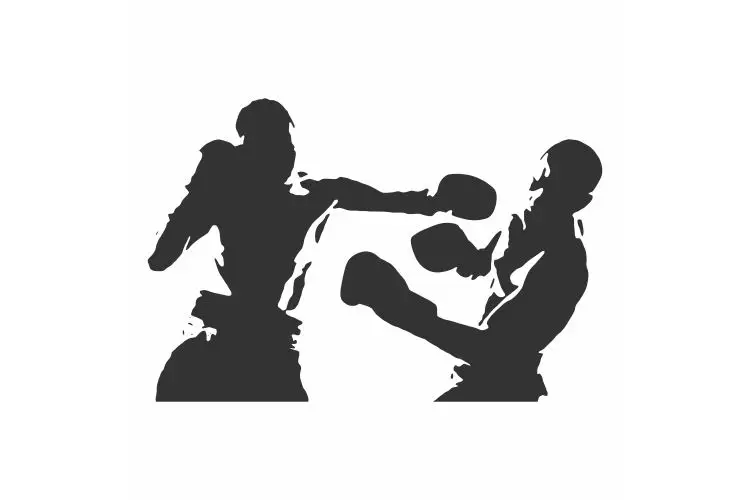 Мужские боксеры атаковали другого мужчины щеки виниловые автомобильные фрески