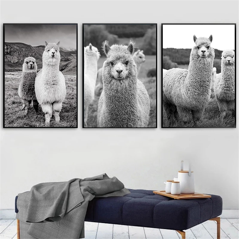

Alpaca Animal Poster Canvas Art Painting Nursery Decorative Picture Llama Wall Art Prints Black And White Wall Kids Room Decor