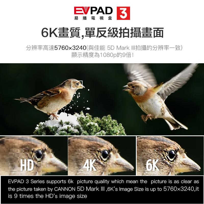[Подлинный] iptv для оптоволокна Evpad 3/3 PLUS/3 MAX+ evbox lifetime live tv box кино драма порно VOD/воспроизведение поддержка 4,1 BT 2,4/5 ГГц wf
