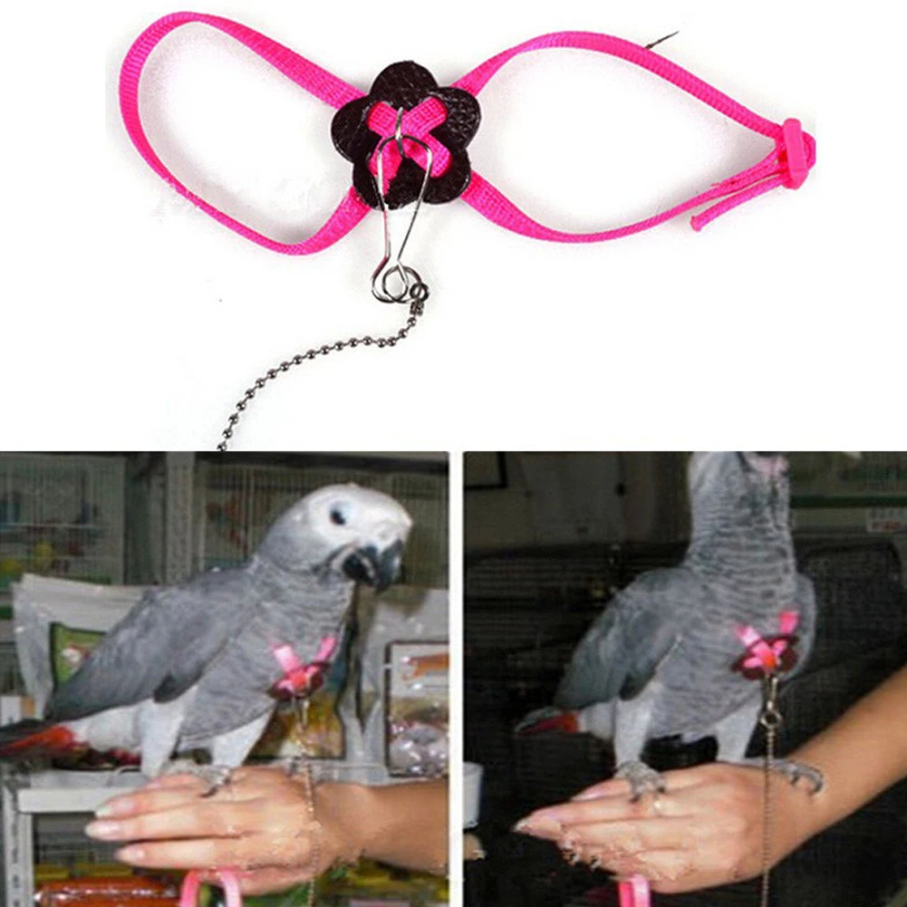 Свинцовый поводок для животных регулируемый птицы | Дом и сад