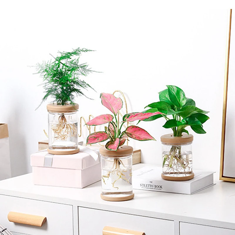 

Ленивый Прозрачный цветочный горшок гидропонный автоматический впитывание воды горшок для растений