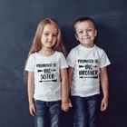 Детская одинаковая футболка с надписью Brother Big Sister летние футболки с короткими рукавами для маленьких мальчиков и девочек детская повседневная одежда